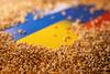 Vlada sprejela predlog zakona za reševanje težav, povezanih s krizo v Ukrajini