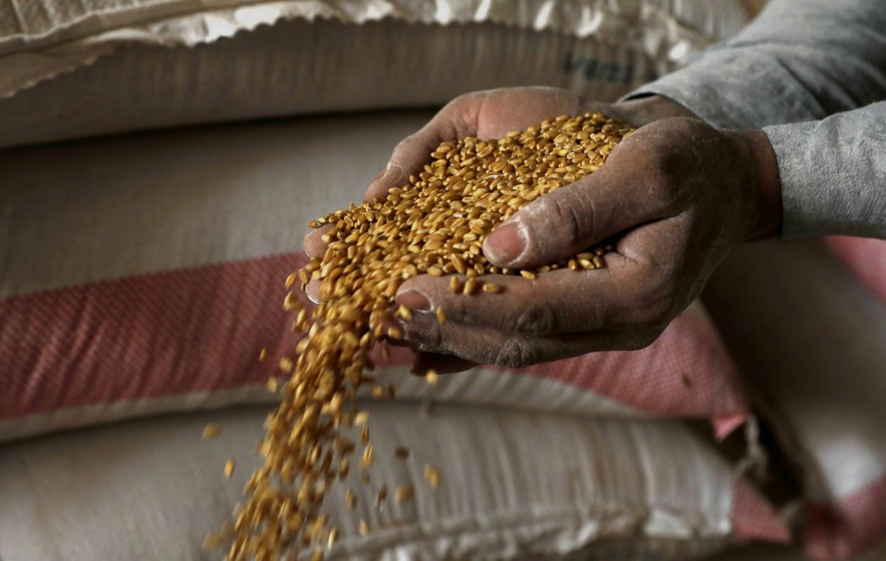 Rusija in Ukrajina proizvedeta 30 odstotkov svetovnih zalog pšenice. Foto: EPA