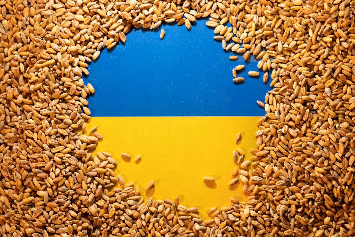 V ukrajinskih skladiščih čaka na tone žita, ki pa zaradi ruske blokade ne more do drugih držav. Foto: Reuters