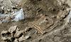 Na grajskem hribu našli domnevno prazgodovinsko okostje, morda celo iz bronaste dobe