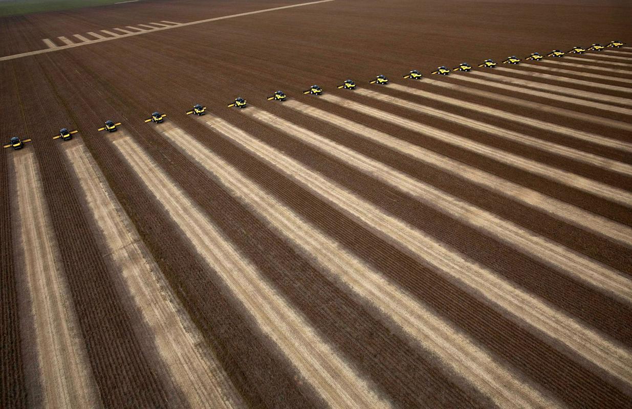Polja soje v Braziliji. Foto: EPA