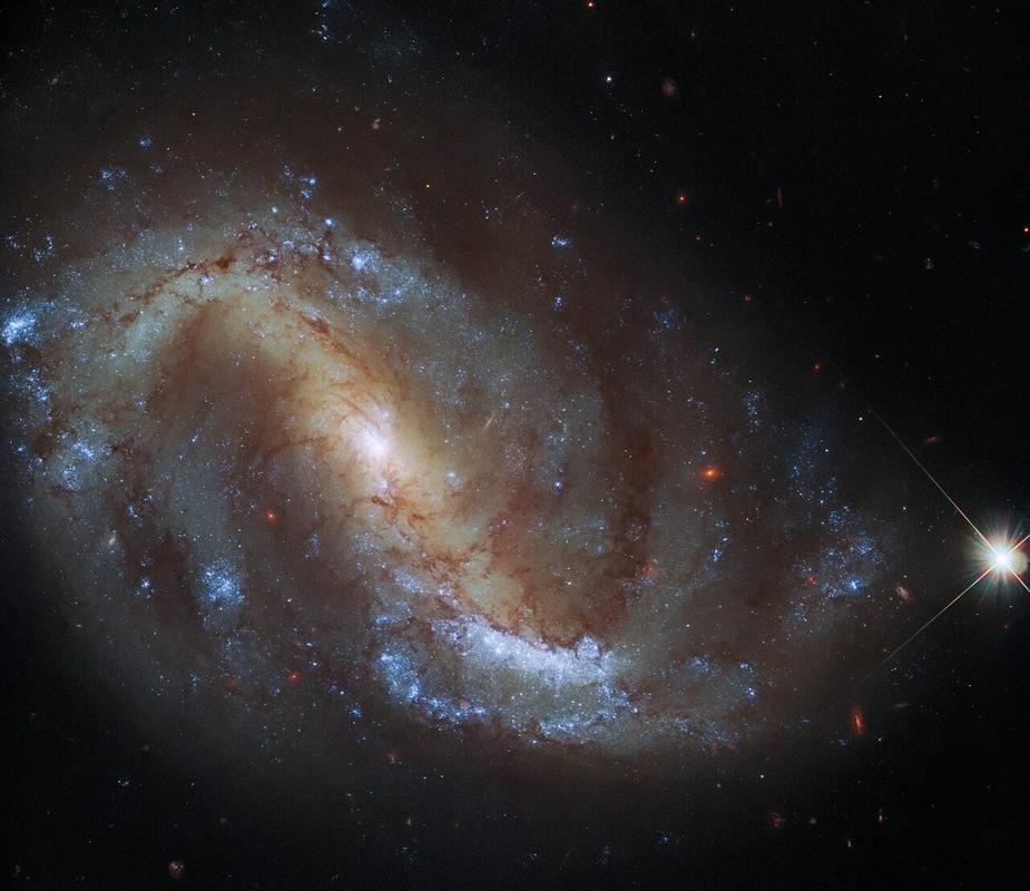 NGC 7496. Širok je 70.000 svetlobnih let. Foto: ESA/Hubble & NASA, J. Lee and the PHANGS-HST Team