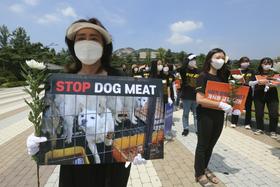 Južnokorejska prva dama pozvala k prenehanju uživanja pasjega mesa