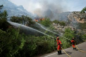 V Španiji divja več gozdnih požarov