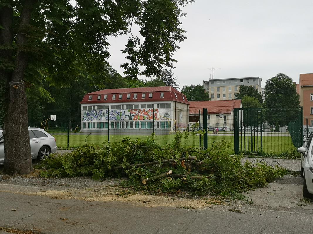Foto: Podoba številnih mariborskih ulic po sinočnjem neurju - odlomljene veje in padla drevesa so poškodovali tudi več parkiranih avtomobilov. Radio Maribor/Vesna Martinec