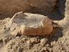 Najnovejše pompejsko odkritje: tudi želvji oklep pripoveduje širšo zgodbo