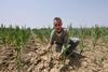 Portugalska in Španija s tisočletno sušo, Italija razglasila izredne razmere v petih regijah