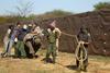 Nosorogi po več kot 40 letih znova v divjinah Mozambika
