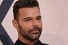 Ricky Martin zavrača obtožbe, ki jih navaja vloga za prepoved približevanja