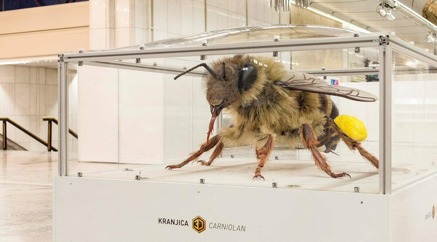 Fizični model čebele delavke Apis mellifera carnica, slovenske avtohtone kranjske čebele - 3D-kranjica. Foto: Kristina Bursać