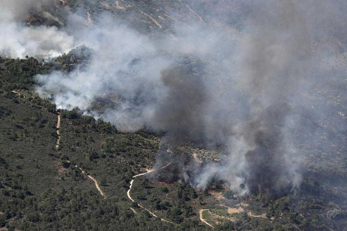 Incêndios em Portugal destruíram milhares de hectares de floresta este fim de semana.  Foto: EPA