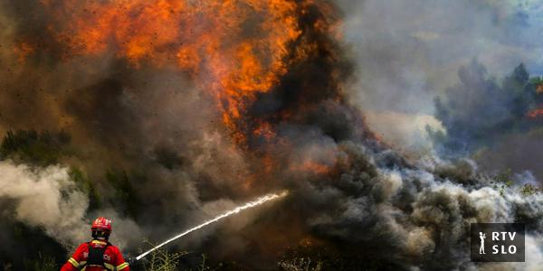 237 pessoas morreram na Espanha devido ao forte calor.  O piloto de um avião de combate a incêndios morreu em Portugal.