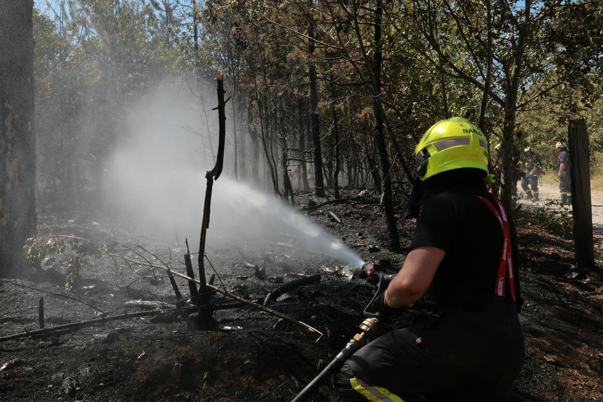 Gasilci so se lani poleti bojevali z obsežnim požarom na Krasu. Foto: BoBo/Borut Živulović