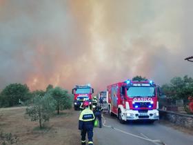 Un incendio che si è propagato dall'Italia alla sponda slovena.  Foto: Vigili del fuoco di Nova Gorica/Matjaž Marušič