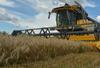 Turčija: Rusija in Ukrajina bosta v petek podpisali sporazum o izvozu žita