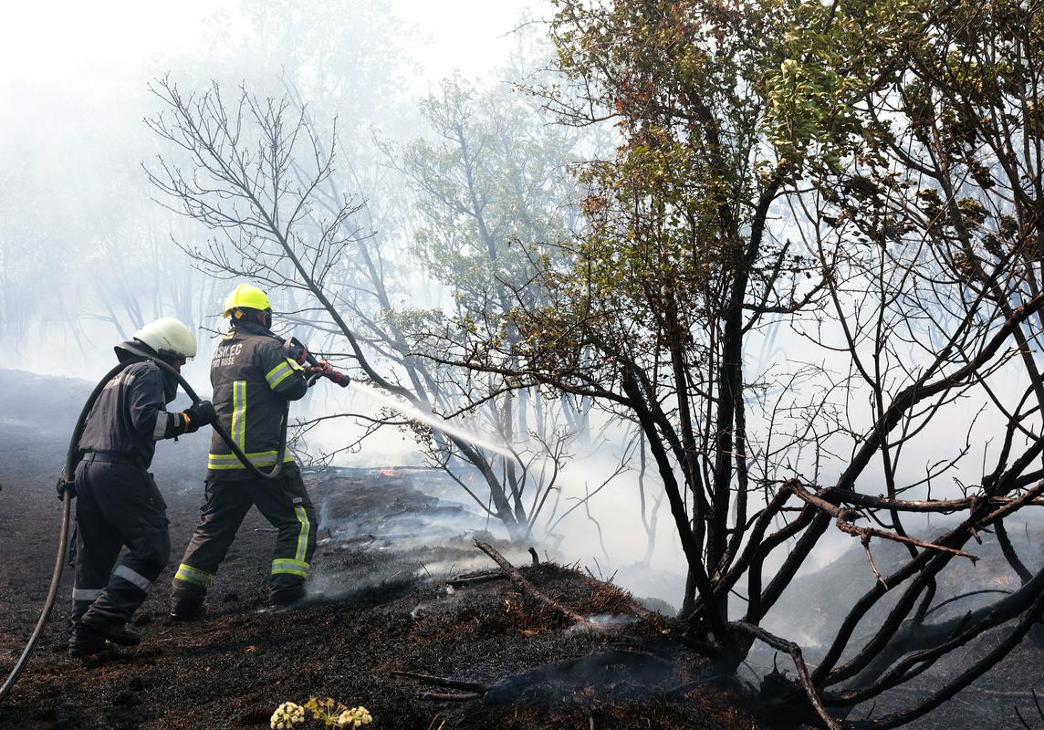 Po uničujočem požaru so se občine zavezale sodelovanju. Foto: BoBo/Borut Živulović