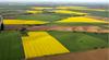 EU za povečanje pridelave žit predlaga začasen umik pravil o kolobarjenju