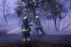 Požar na Trstelju pod nadzorom, a skrbi povzroča napovedana močna burja proti jutru