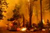 Zakaj so poleti požari v gozdu pogosti? 