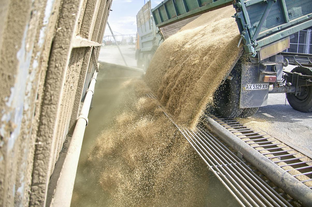 Ruska blokada pristanišč je prispevala k dvigu cen žita po svetu. Foto: EPA