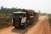 Brazilska agencija odobrila gradnjo avtoceste čez srce Amazonije 