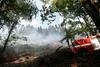 Na Češkem in v Nemčiji divja obsežen gozdni požar