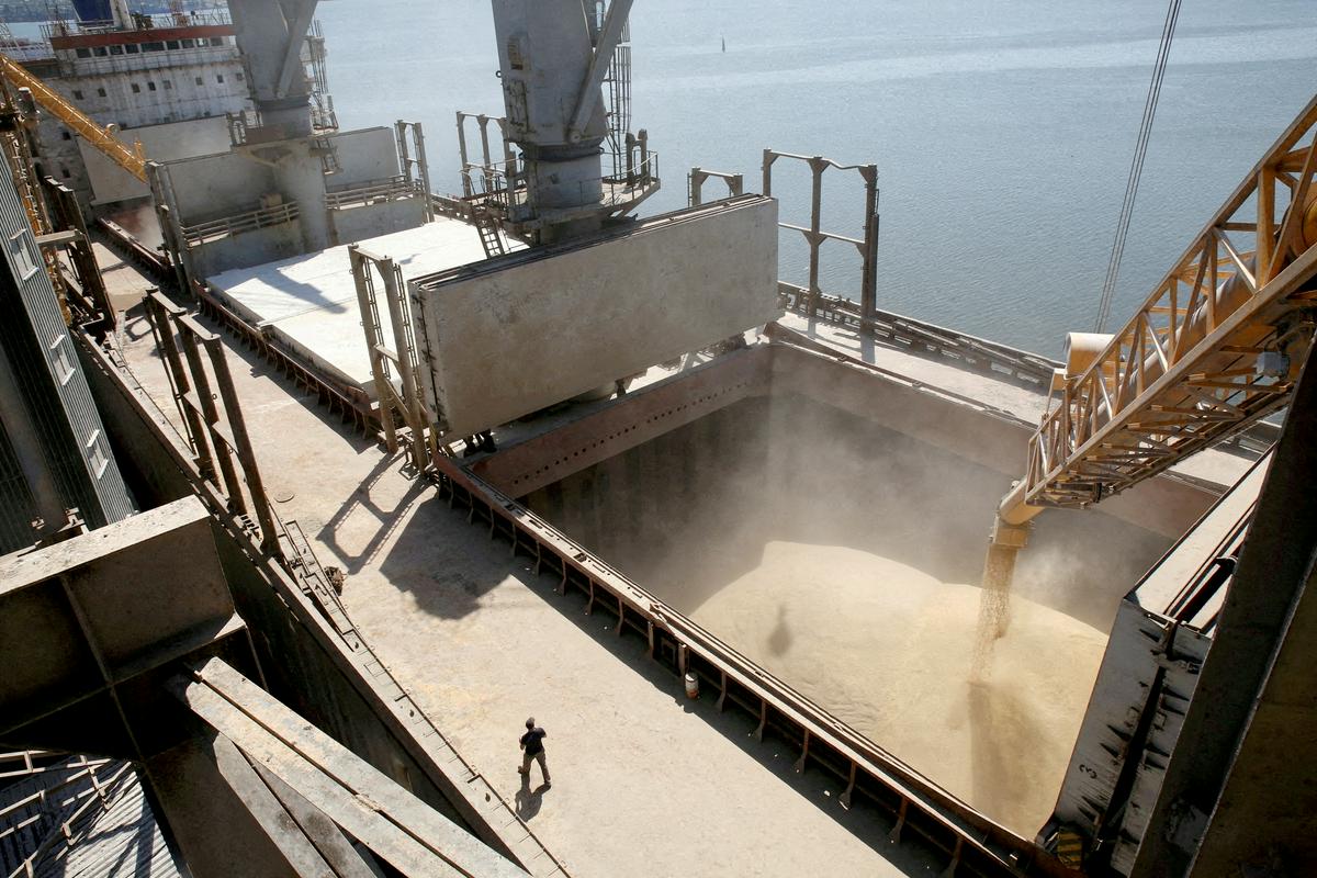 Pšenico so na ladje natovorili še pred vojno. Foto: Reuters