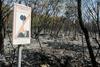 Velika požarna ogroženost odpravljena po vsej državi, izjema le Ajdovščina