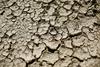 Za jesen v Evropi napovedane bolj sušne razmere kot običajno