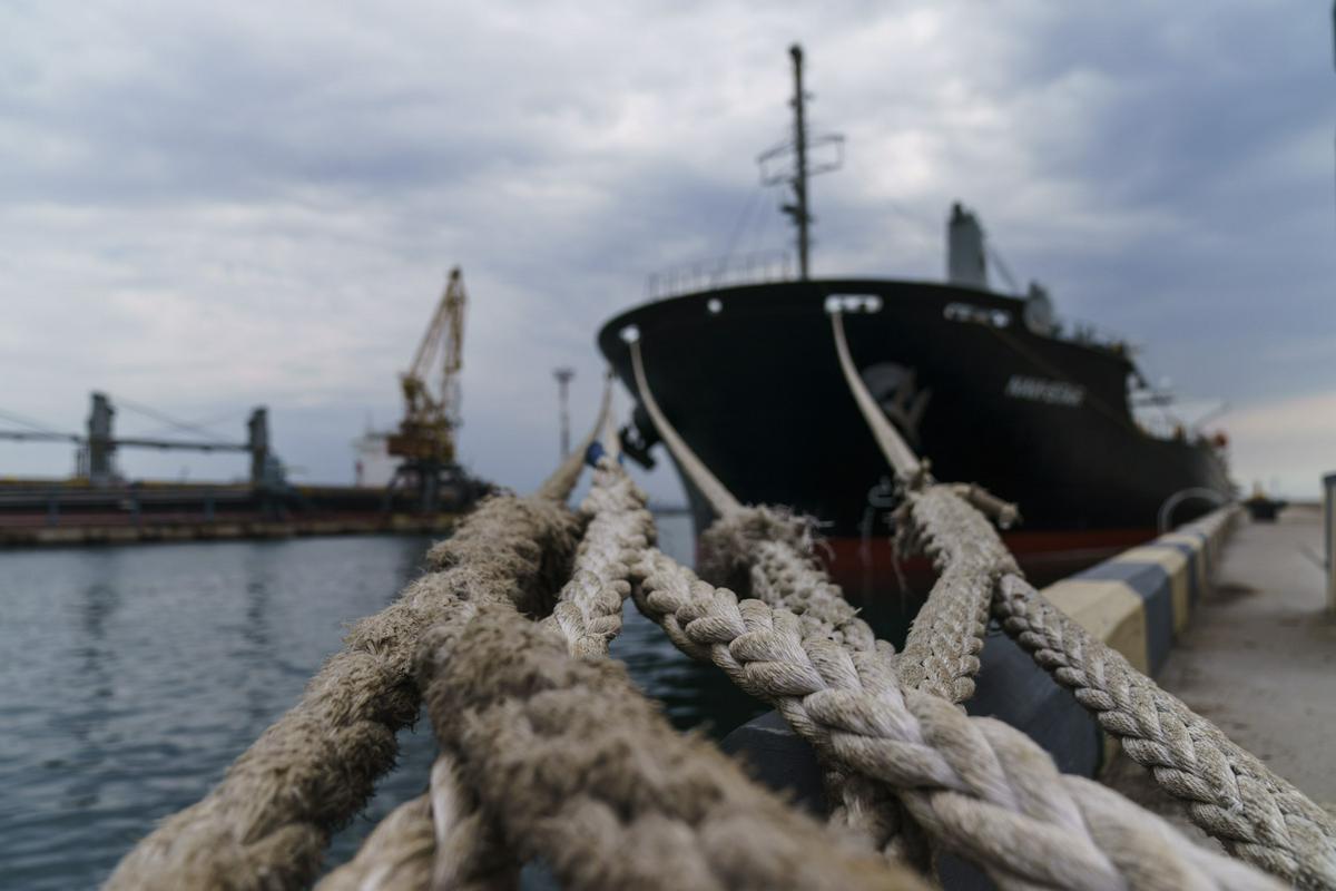 V ukrajinskih črnomorskih pristaniščih na izplutje čaka več ladij z žitom. Foto: AP