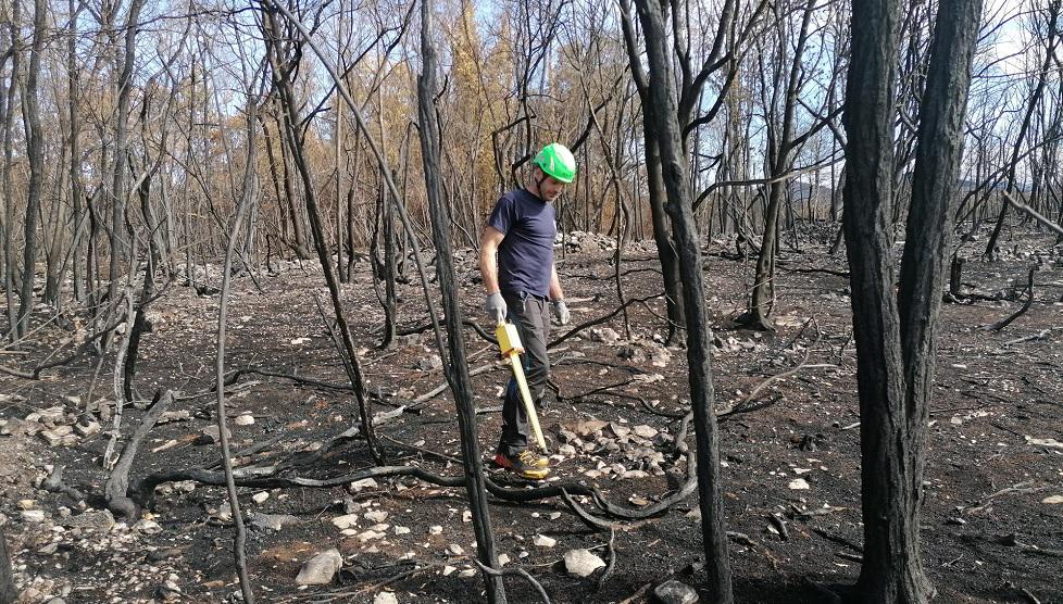 Pirotehniki menijo, da bodo neeksplodirana ubojna sredstva na požarišču na Krasu odstranjevali do marca prihodnje leto. Foto: Radio Koper/Karin Zorn Čebokli