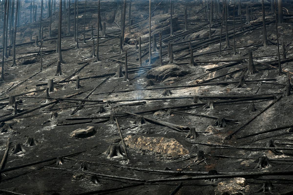 Obsežen požar na Češkem je prejšnji teden divjal v narodnem parku ob meji z Nemčijo. Foto: Reuters