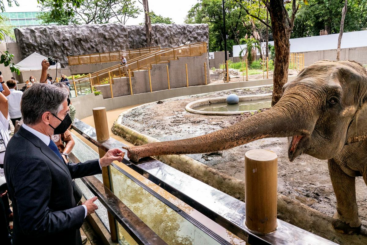 Ameriški zunanji minister je obiskal tudi živalski vrt v Manili, kjer deluje klinika za cepljenje proti covidu-19. Foto: Reuters