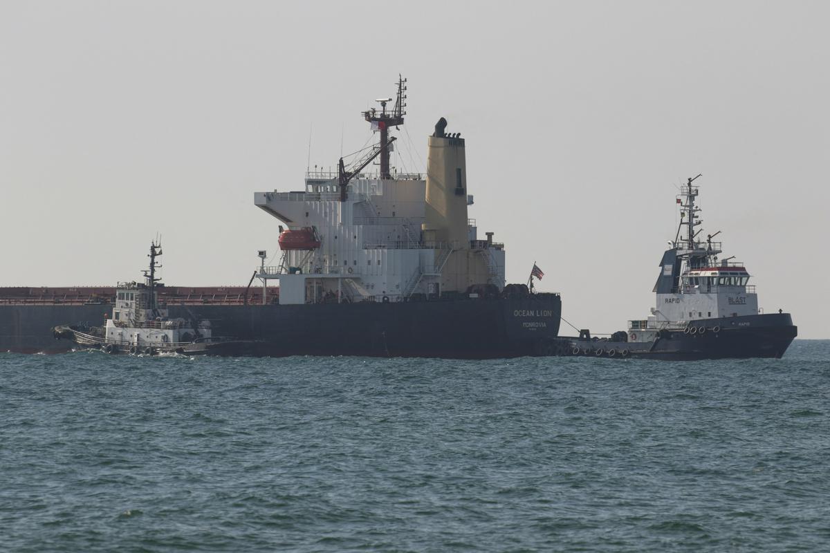 Ladja Ocean Lion pa prevaža skoraj 65.000 ton koruze. Foto: EPA