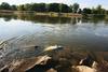 Poljska in Nemčija skušata odkriti vzrok množičnega pogina rib v reki Odri