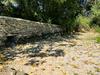 Huda suša v Angliji: Struga Temze po izviru vse dlje presušena