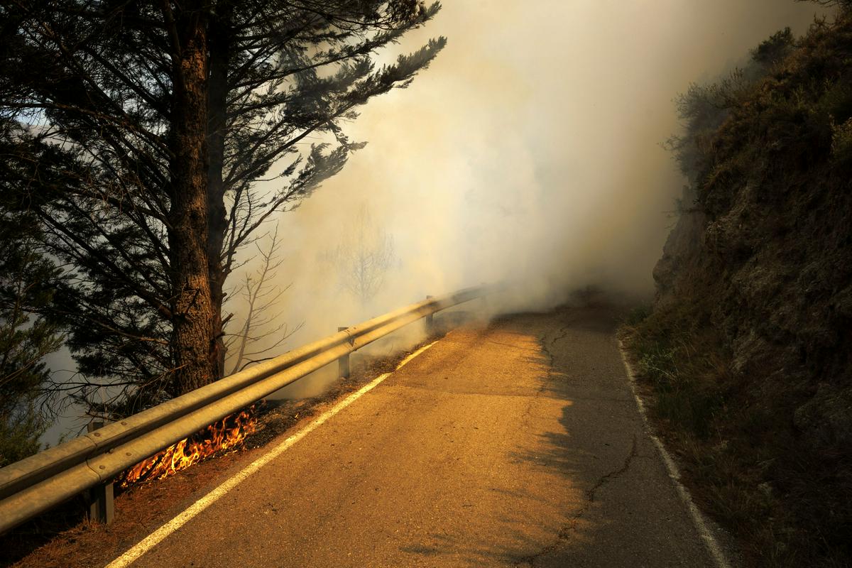 Do sredine letošnjega leta so požari v Španiji uničili že trikrat večjo površino kot v celotnem lanskem letu. Foto: EPA