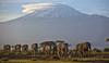 Iz Kilimanjara na Instagram - Tanzanija najvišjo goro Afrike opremlja z internetom  