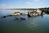 Nizka gladina Donave razkrila vojaške ladje iz druge svetovne vojne
