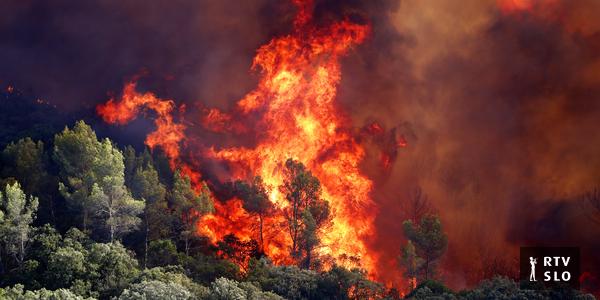 La France met en place une police de l’environnement après un été d’incendies dévastateurs