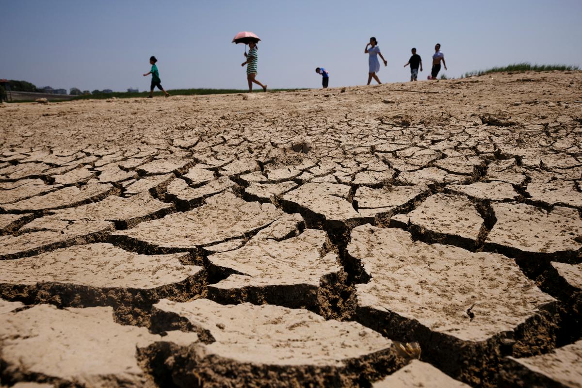 Tudi Kitajska se, podobno kot mnogo evropskih držav, to poletje bori s hudo sušo. Foto: Reuters