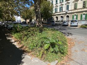  Foto: Radio Maribor/Bratko Zavrnik