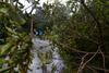 Orkan Ian dosegel Florido, več kot milijon ljudi ostalo brez elektrike.