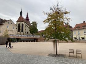 Mestna tržnica Ptuj Foto: MMC RTV SLO/Ana Svenšek