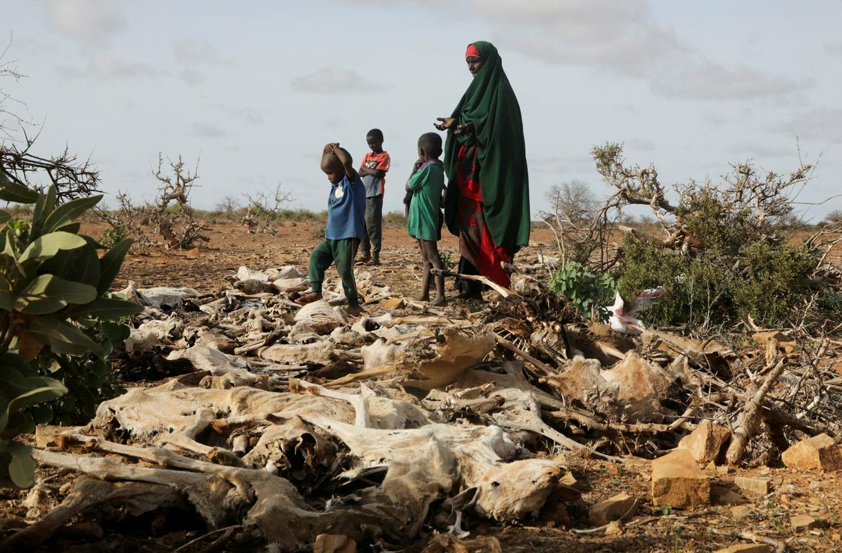 Razseljena družina ob mrtvi živini, ki je poginila zaradi suše. Foto: Reuters