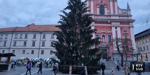 L’arbre de Noël sur la place Prešeren est déjà en place