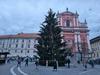 Božično drevo na Prešernovem trgu že stoji