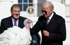 Ameriški predsednik Biden pred zahvalnim dnem pomilostil purana in z enim malo 