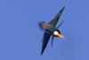 Na Hrvaškem strmoglavilo bojno letalo MiG-21