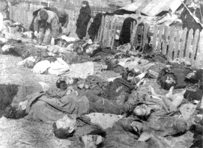 Poljske žrtve pokola ki ga je zagrešila Ukrajinska vstajniška vojska v vasi Lipniki v Volinskem vojvodstvu leta 1943. Foto: Wikipedia